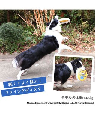 PET PARADISE 犬 おもちゃ ミニオン フライングディスク M (直径22cm) 黄