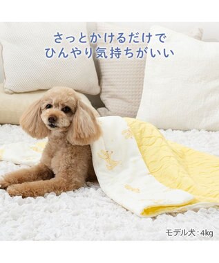 PET PARADISE ディズニー プルート もちっと クール ブランケット ホワイト×イエロー