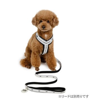 PET PARADISE Lee ロゴ アクティブ ハーネス ３Ｓ 小型犬 ホワイト×ブラック
