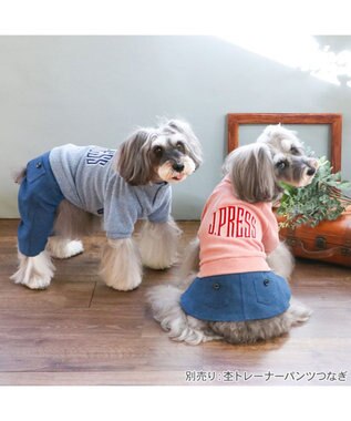 PET PARADISE J.PRESS 杢 トレーナー スカートつなぎ 小型犬 ピンク
