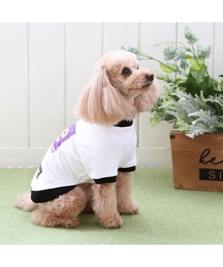 PET PARADISE Lee 四角 ロゴトレーナー 小型犬 ホワイト