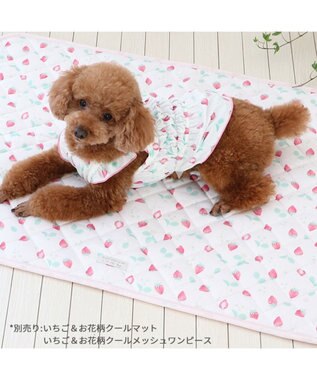 PET PARADISE ペットパラダイス エコメイド キャミソール 《苺柄》 小型犬 苺柄