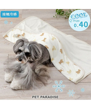  ペットパラダイス クールケット 《くまちゃん》 小型犬