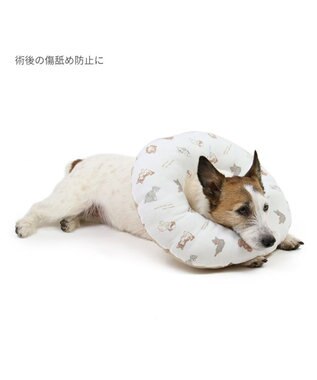 PET PARADISE ペットパラダイス makokoro エリザベスカラー 《わんちゃん柄》   Ｓ 小型犬 ベージュ