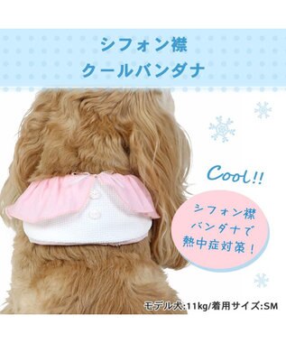PET PARADISE クールネック バンダナ《 ボタニカル/ しろくま/シフォン襟》 保冷剤付き 【中型犬】【大型犬】 シフォン襟