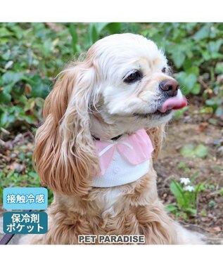 PET PARADISE クールネック バンダナ《 ボタニカル/ しろくま/シフォン襟》 保冷剤付き 【中型犬】【大型犬】 シフォン襟