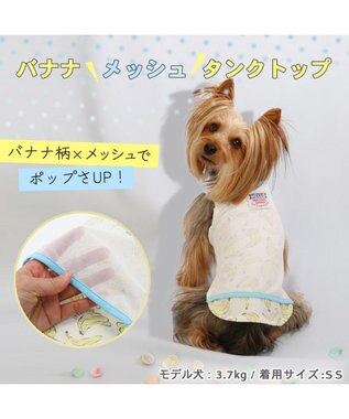 PET PARADISE 犬の服 春夏 ひんやり クール 接触冷感 虫よけ タンクトップ 【小型犬】 バナナ 白～オフホワイト