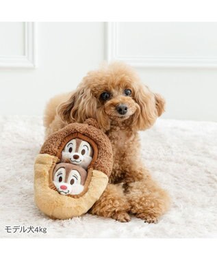 PET PARADISE ディズニー チップとデール どんぐり ボール トイ ブラウン