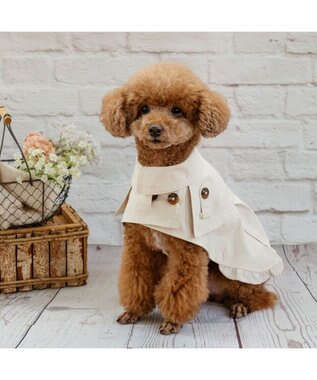 PET PARADISE ペットパラダイス トレンチポンチョ 小型犬 ベージュ