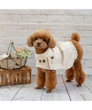 PET PARADISE ペットパラダイス トレンチポンチョ 小型犬 ベージュ