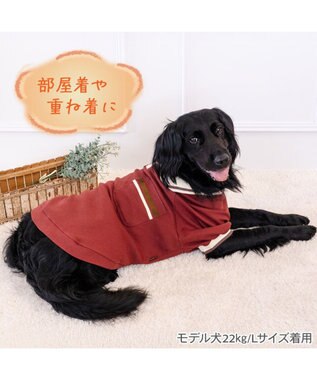 PET PARADISE ペットパラダイス プレミアム ぺティヒート スキッパーＴシャツ 中型犬 大型犬 レッド