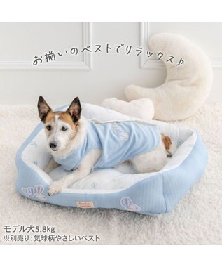 PET PARADISE ペットパラダイス やさしいカドラー  《気球柄》M ライトブルー