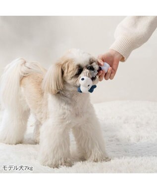 PET PARADISE スヌーピー ゴルフ ダンベルトイ Ｓ ネイビー×レッド
