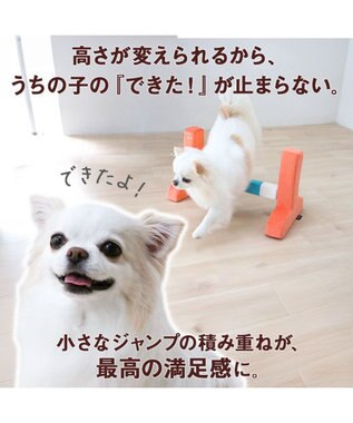 PET PARADISE ペットパラダイス わくわく ハードル トイ オレンジ