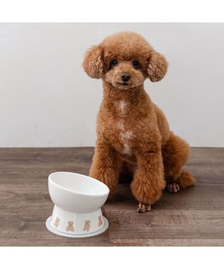 PET PARADISE ペットパラダイス 高さのある フードボウル 《テディ柄》 小型犬 オフホワイト