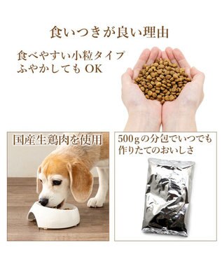 PET PARADISE ビオキッチン エイジングネオ ３ｋｇ 0