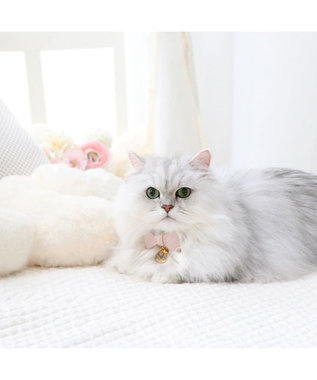 PET PARADISE ディズニー マリー リボン 猫 首輪 《小 / 中》 リボン