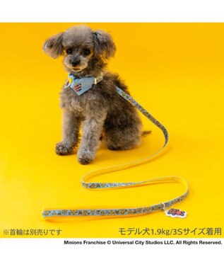 PET PARADISE ミニオン チャーム付リード ４Ｓ～３Ｓ ブルー