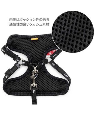 PET PARADISE Lee ループノット ハーネス＆リード 小型犬 ＳＳ ブラック
