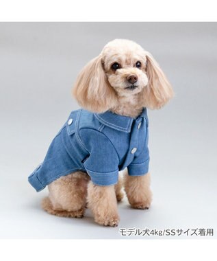 PET PARADISE J.PRESS デニムジャケット 春 小型犬 ライトインディゴブルー