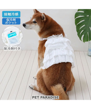 PET PARADISE ペットパラダイス ポケットクール ビスチェ 中型犬
