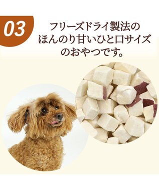 PET PARADISE フリーズドライ さつまいも 25ｇ 国産 0