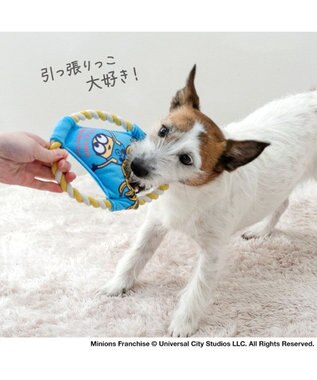 PET PARADISE ミニオン ロープフリスビー トイ ブルー