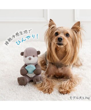 PET PARADISE ペットパラダイス らっこ クール トイ ブラウン