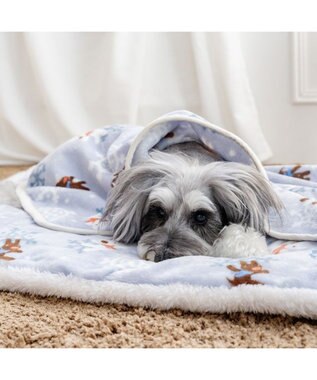 PET PARADISE リサとガスパール 遠赤外線 ボアマット 《雪編み柄》 ブルー