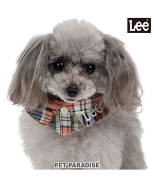 PET PARADISE Lee チェック襟付首輪 ３Ｓ 小型犬