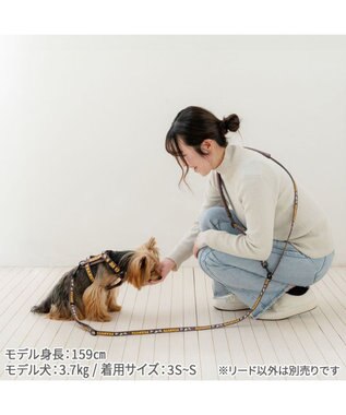 PET PARADISE スヌーピー ショルダーリード 《兄弟柄》  SS~S 小型犬 ブラウン