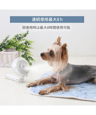 PET PARADISE 〔2024年モデル〕 ミスト ハンディファン ホワイト ホワイト