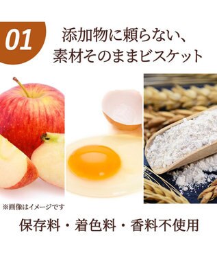 PET PARADISE 国産 りんご ビスケット 100g 0