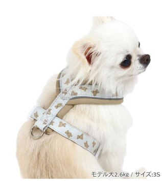 PET PARADISE ペットパラダイス くまちゃん アクティブハーネス 小型犬 S くまちゃん