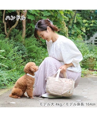 PET PARADISE ペットパラダイス ２Way お散歩 バッグ 《くまちゃん》 くまちゃん