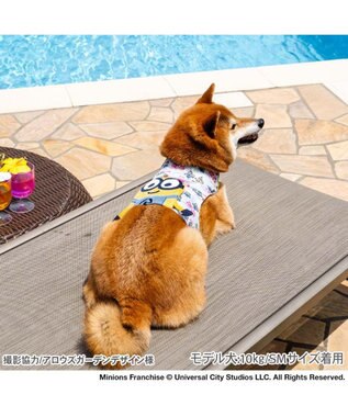 PET PARADISE ミニオン クールベスト 《アイス柄》 中型犬 ライトブルー