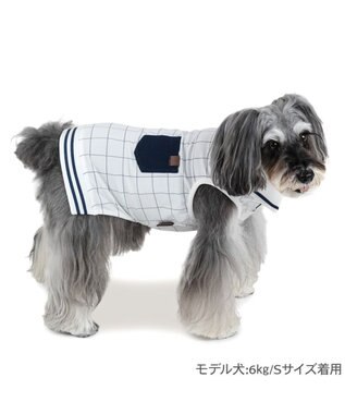 PET PARADISE ペットパラダイス エコメッシュ 襟付き タンクトップ 小型犬 ホワイト×ブラック