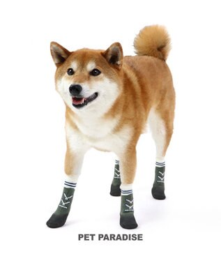PET PARADISE 犬 靴 靴下 フィットシューズ 【SM】 グリーン ブラウン