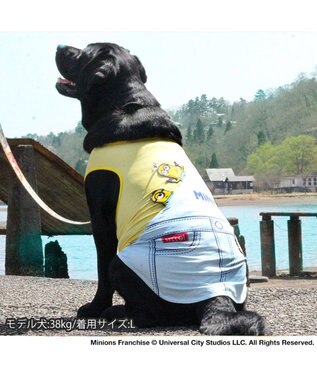 PET PARADISE ミニオン タンクトップ 【中型犬】【大型犬】サロペット風 クールマックスエコメイド 黄