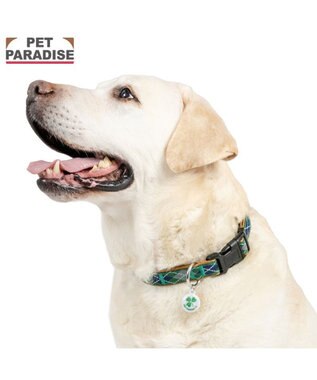  ペットパラダイス チェック柄 首輪 Ｍ 大型犬