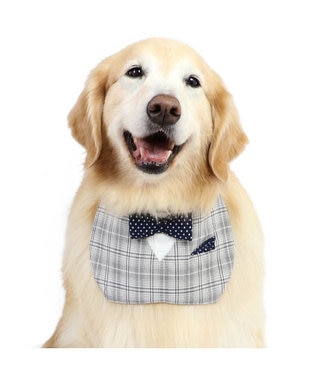 PET PARADISE ペットパラダイス 蝶ネクタイ スタイ 《チェック柄》 中型犬 大型犬 チェック柄