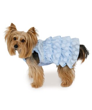 PET PARADISE ペットパラダイス お花 ふりふり ワンピース 《ブルー》 小型犬 ブルー