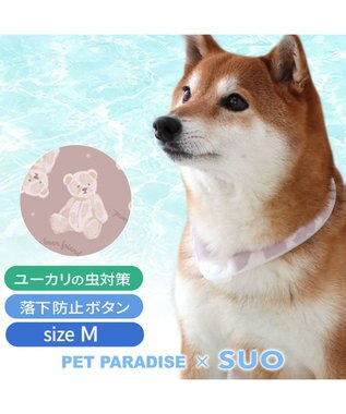  ペットパラダイス 28℃クールリング  《くま》 Ｍ 大型犬