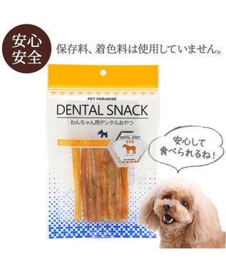 PET PARADISE 馬背筋デンタルジャーキー 40g -