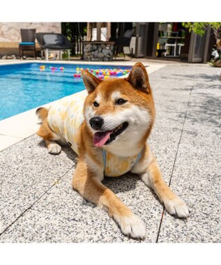 PET PARADISE ペットパラダイス タッチワンクールプラス キャミソール 《あひる》 中型犬 ライトイエロー