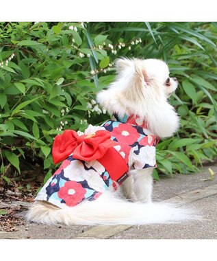PET PARADISE 犬の服 夏 犬服 浴衣 椿柄 赤  【小型犬】 赤