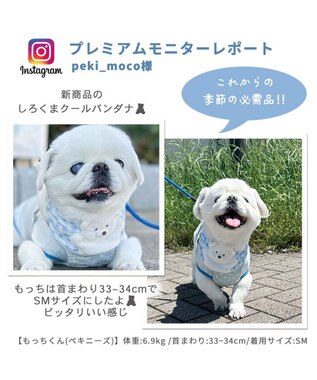 PET PARADISE クールネック バンダナ 《シフォン襟／しろくま／ボタニカル》 保冷剤付き 【小型犬】 しろくま