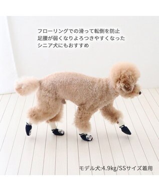 PET PARADISE スヌーピー makokoro スリット 靴下  ＳＳ 小型犬 紺(ネイビー・インディゴ)