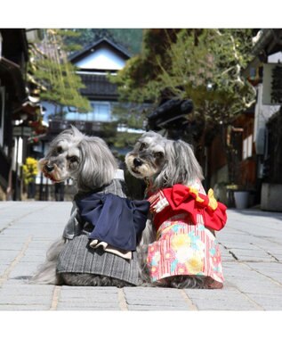 PET PARADISE ペットパラダイス 浴衣 《菊柄》 小型犬 菊柄