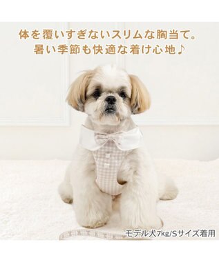 PET PARADISE ペットパラダイス くまちゃん 襟付き スリム ハーネス＆リード ＳＳ 小型犬 ブラウン